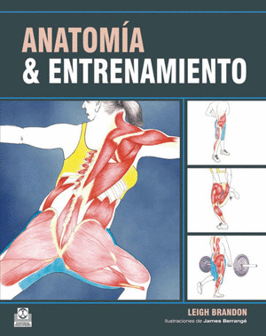 ANATOMIA & ENTRENAMIENTO