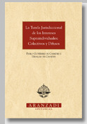 TUTELA JURISDICCIONAL INTERESES SUPRAINDIVIDUALES