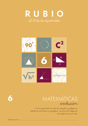 MATEMATICAS EVOLUCION RUBIO 6