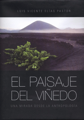 PAISAJE DEL VIÑEDO, EL