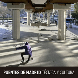 PUENTES DE MADRID : TECNICA Y CULTURA
