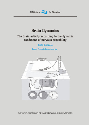 BRAIN DYNAMICS : THE BRAIN ACTIVITY ACCORDING TO THE DYNAMIC CONDITIONS OF NERVO