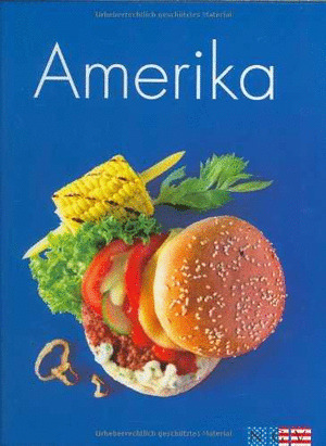 AMERICA (COCINA ACTUAL)