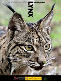 LYNX