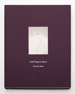 SMALLS THINGS IN SILENCE