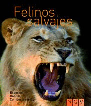 FELINOS SALVAJES