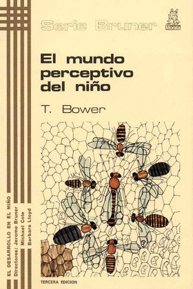 MUNDO PERCEPTIVO DEL NIÑO