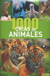 1000 CRIAS DE ANIMALES