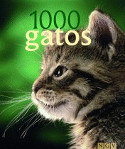 1000 GATOS