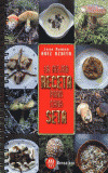 MEJOR RECETA PARA CADA SETA, LA