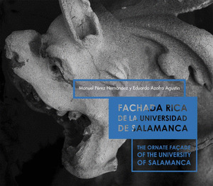 FACHADA RICA DE LA UNIVERSIDAD DE SALAMANCA