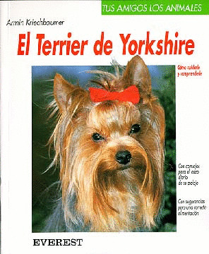 TUS AMIGOS LOS ANIMALES. EL TERRIER DE YORKSHIRE