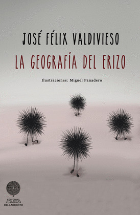 GEOGRAFIA DEL ERIZO, LA