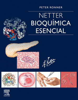 NETTER. BIOQUIMICA ESENCIAL
