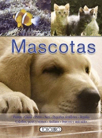 MASCOTAS