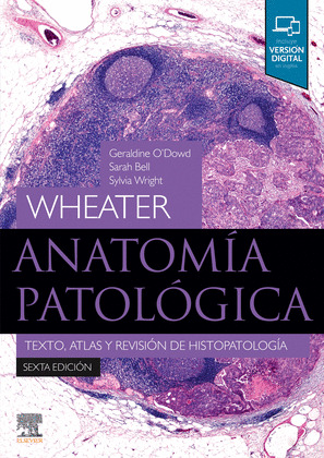 ANATOMIA PATOLOGICA