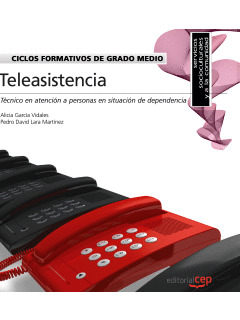CICLOS FORMATIVOS DE GRADO MEDIO. TÉCNICO EN ATENCIÓN A PERSONAS EN SITUACIÓN DE