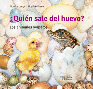 ¿QUIEN SALE DEL HUEVO?