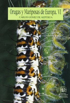 ORUGAS Y MARIPOSAS DE EUROPA -VI-