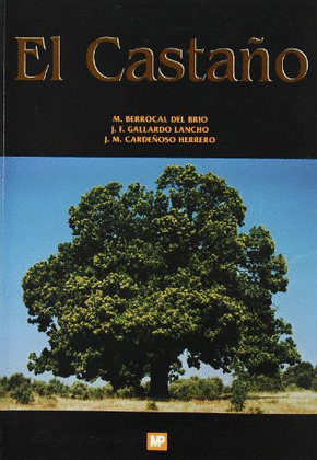 EL CASTAÑO