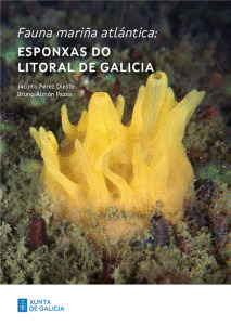 FAUNA MARIÑA ATLÁNTICA: ESPONXAS DO LITORAL DE GALICIA