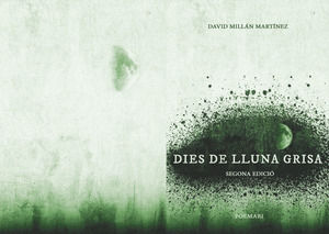 DIES DE LLUNA GRISA