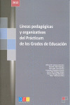 LINEAS PEDAGOGICAS Y ORGANIZATIVAS DEL PRACTICUM
