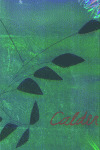 CALDER