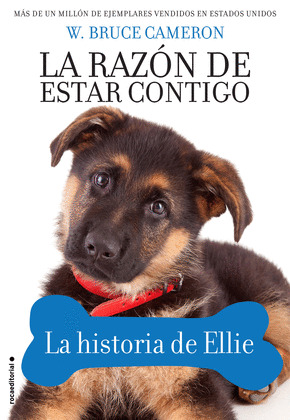 RAZÓN DE ESTAR CONTIGO, LA