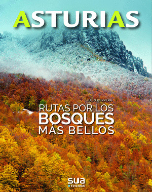 RUTAS POR LOS BOSQUES MAS BELLOS