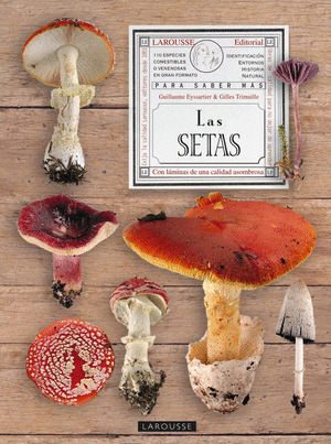 SETAS, LAS (110 ESPECIES COMESTIBLES O VENENOSAS EN GRAN FORMATO)