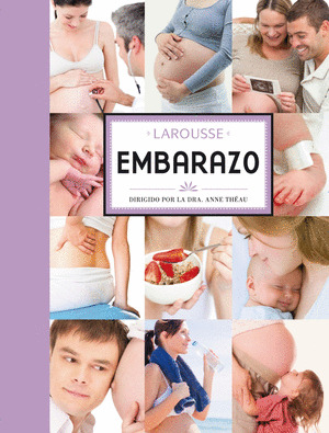 EMBARAZO (LAROUSSE)