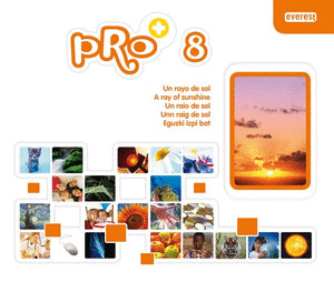 UN RAYO DE SOL 09 PROYECTO PRO+