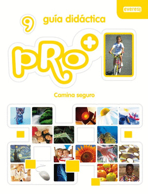 PRO+ 9. CAMINA SEGURO. GUÍA DIDÁCTICA