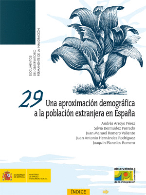 UNA APROXIMACIÓN DEMOGRÁFICA A LA POBLACIÓN EXTRANJERA EN ESPAÑA