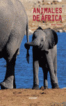 ANIMALES DE AFRICA
