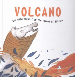 VOLCAN, THE WILD HORSE FROM THE ISLAND OF SALVORA