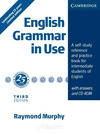 ENGLISH GRAMMAR IN USE (LIMITED EDITION CELEBRATING 25 YEARS)
