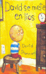 DAVID SE METE EN LIOS