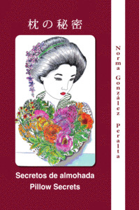 SECRETOS DE ALMOHADA / PILLOW SECRETS
