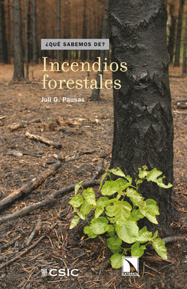 INCENDIOS FORESTALES (¿QUE SABEMOS DE...?)