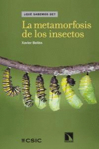 METAMORFOSIS DE LOS INSECTOS, LA