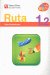 (11).RUTA 2 (1º PRIM) GLOBALIZADO/(PAUTA+CUADRICUL
