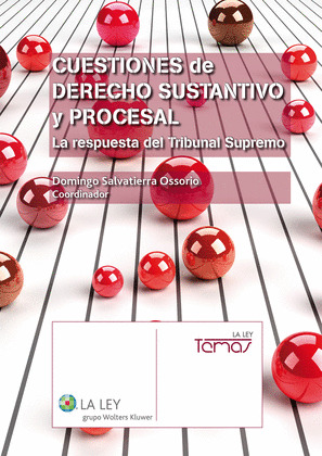 CUESTIONES DE DERECHO SUSTANTIVO Y PROCESAL