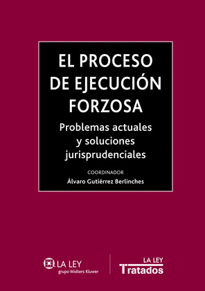 EL PROCESO DE EJECUCION FORZOSA