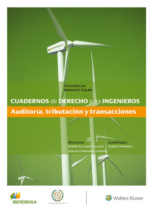 CUADERNOS DE DERECHO PARA INGENIEROS (N.º 30)
