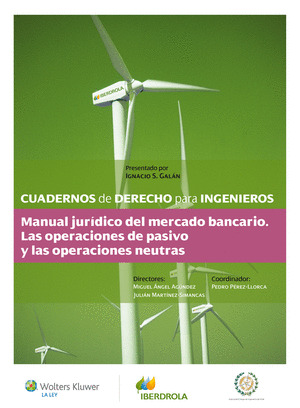 CUADERNOS DE DERECHO PARA INGENIEROS (N.º 33)
