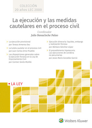 LA EJECUCION Y LAS MEDIDAS CAUTELARES EN EL PROCESO CIVIL