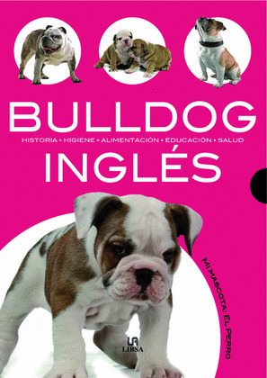 BULLDOG