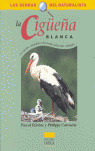 CIGUEÑA BLANCA